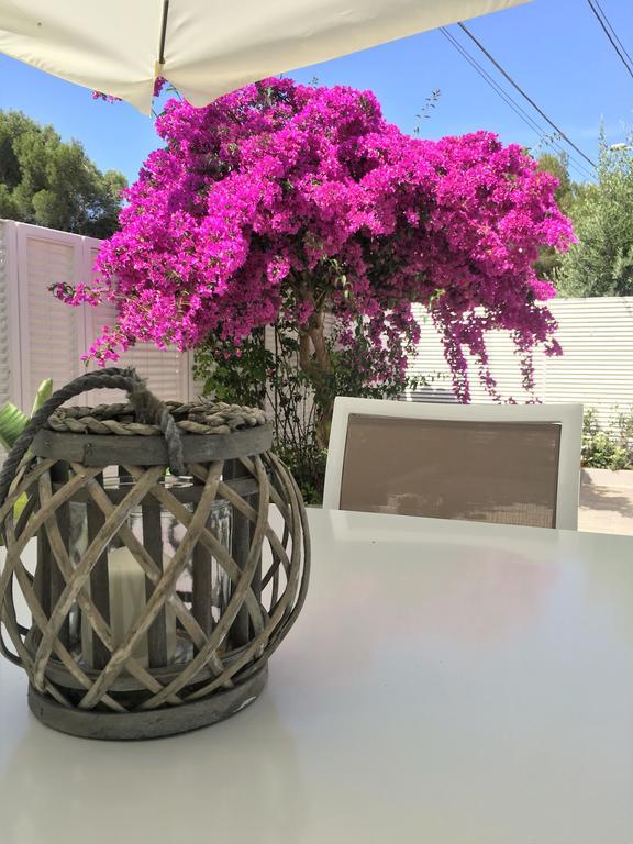 Le Case Di Ada Villa Santa Cesarea Terme Dış mekan fotoğraf